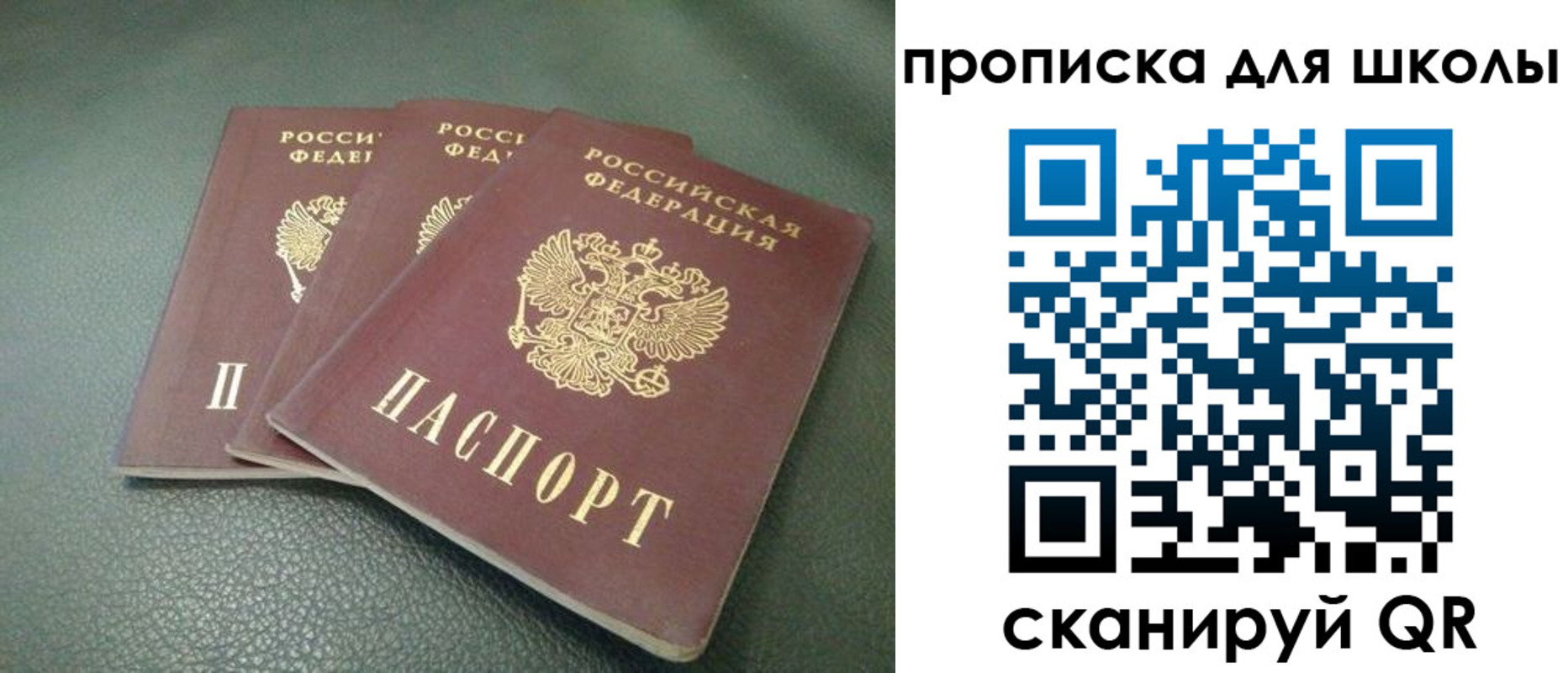 прописка регистрация в Ермолино